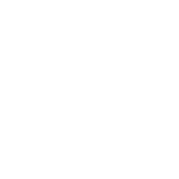 ぎっくり腰、四十肩、寝違えなど